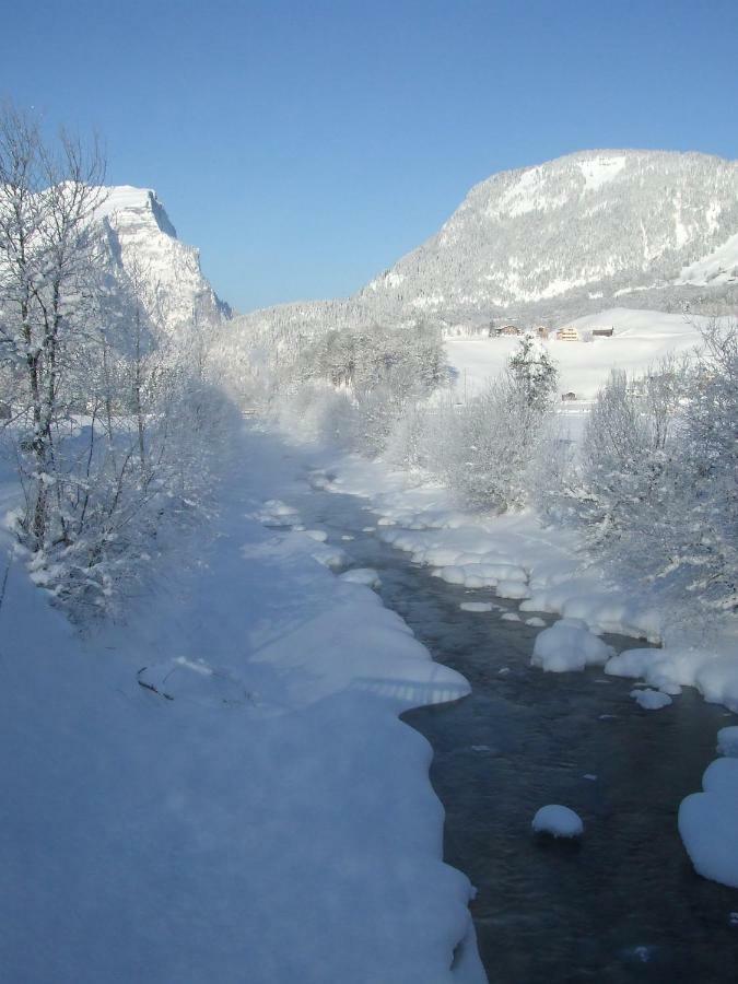 Ruef Wohlfuehl-Apartments Au (Vorarlberg) Bagian luar foto