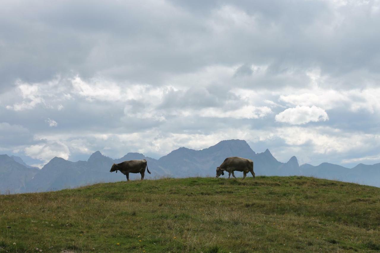 Ruef Wohlfuehl-Apartments Au (Vorarlberg) Bagian luar foto